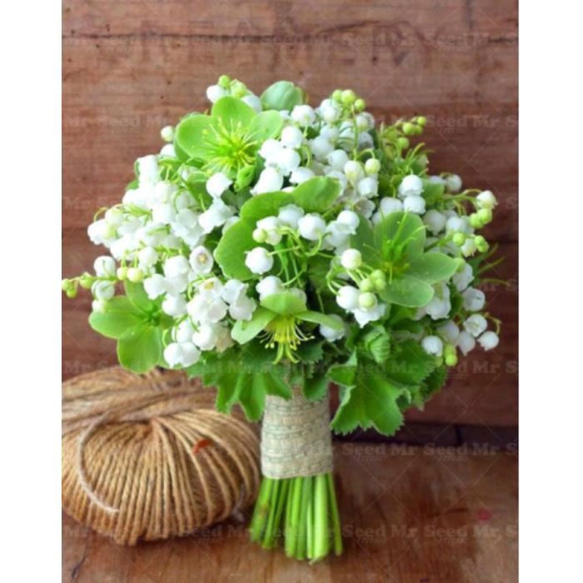 Ou Acheter Des Graines De Muguet Graines De Muguet Clochettes Blanches A Semer Semence Seed Bell