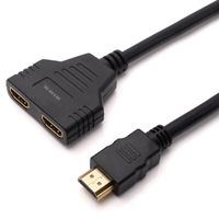 TD® Câble d'extension HDMI 2 lignes Adaptateur ordinateur de conversion version 1.4 30 cm noir couleur petit pratique câble
