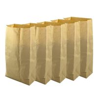 Sacs en papier compostables pour déchets verts et organiques 5 x 100 L  Marron  