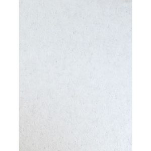 Rouleau fibre de verre blanc à peindre lisse 2500 x 100cm pré