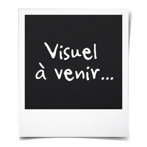 Le Chat Chapeaute Cdiscount Le Chat Chapeaute Cdiscount