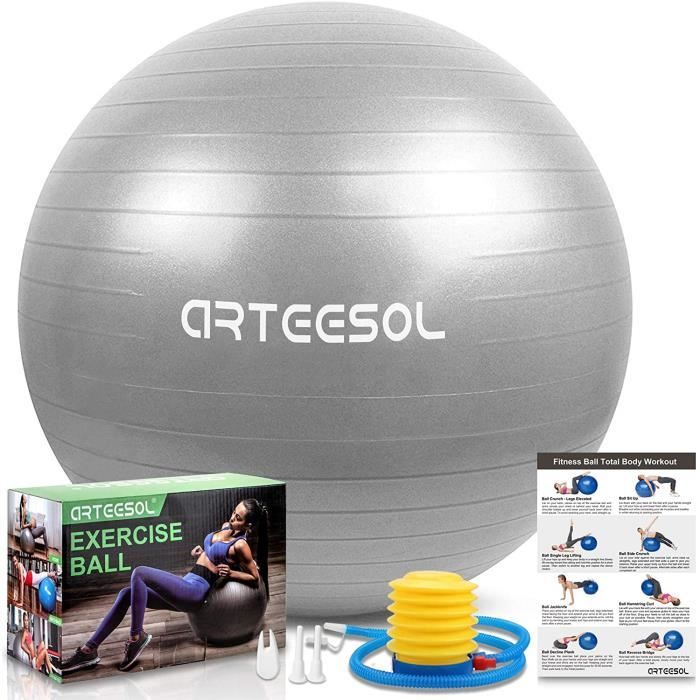 arteesol Ballon Fitness, Swiss Ball, Ballon Grossesse, Ballon Gym Ball Yoga Ballon d'exercice Balle de 45cm-55cm-65cm-75cm-85cm A178