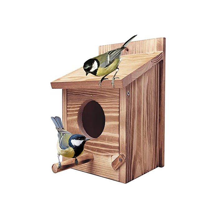 Nichoir oiseaux extérieur mésange bois verni cabane suspendue rouge-gorge sauvage jardin durable