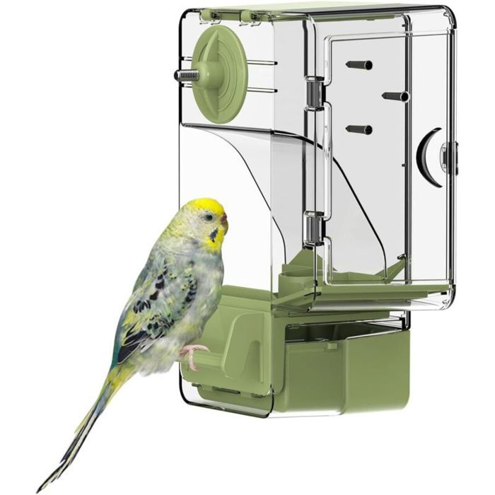 Mangeoire auto oiseaux avec perchoir porte fruits légumes pour perruches canaris calopsittes vert