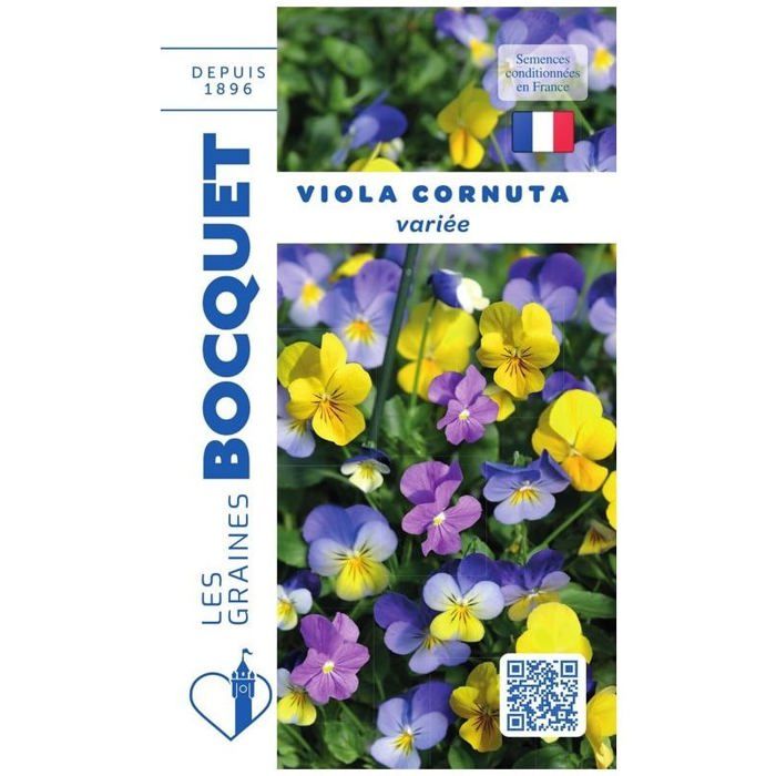 Graine - Semence - Viola Cornuta variée