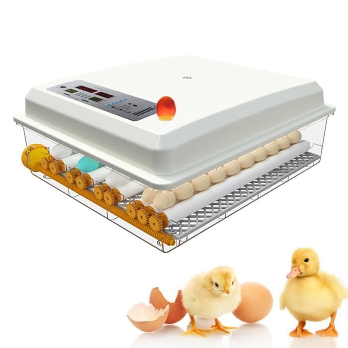 Couveuse Œufs Automatique 12-16 Œufs - Incubateur Avec Retournement Auto Pour Poules, Cailles, Canards