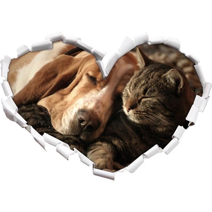 Chat Et Chien Câlins Dans Le Regard 3d Mur Ou Un Autocollant De Porte Format 62x435cm Stickers Muraux Stickers Muraux