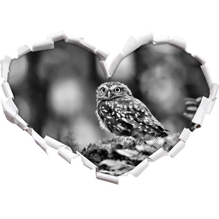 Monocrome Coeur De Bebe Hibou Mignon Dans Le Regard 3d Mur Ou Format Vignette De La Porte 92x64 5cm Stickers Muraux Sticker Achat Vente Stickers Prolongation Soldes Cdiscount