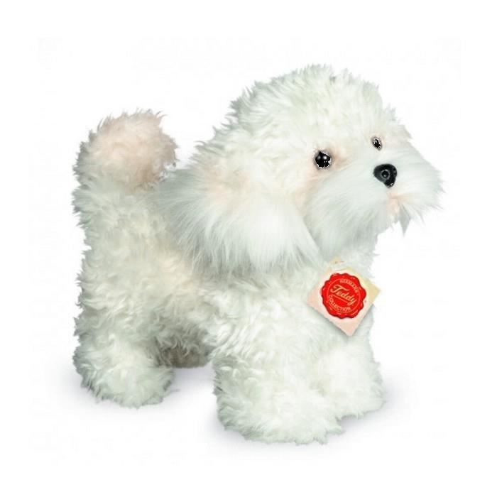 chien blanc peluche