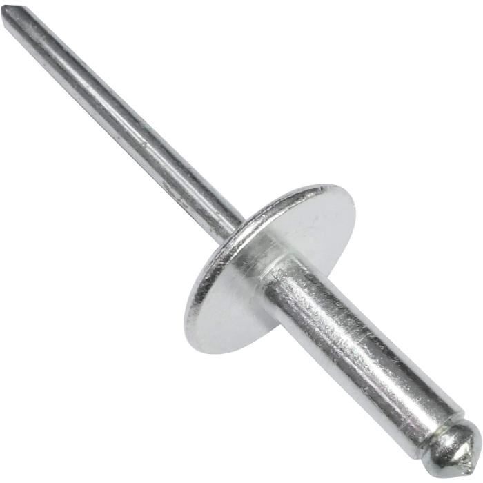 AERZETIX - C48177 - Lot de 100 Rivets aveugles Ø4.8x16mm à tête large ...