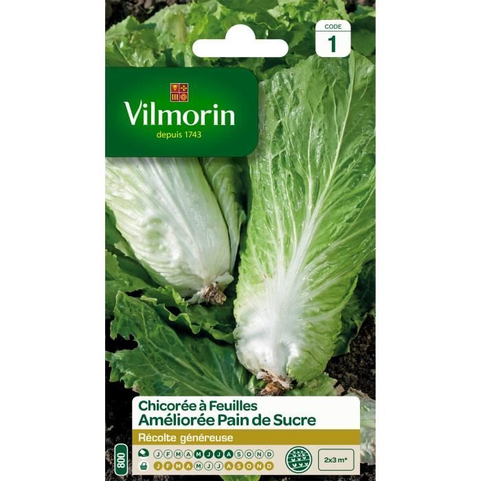 Vilmorin Chicoree A Larges Feuilles Amelioree Pain De Sucre Achat Vente Graine Semence Vilmorin 3275841 Vilmorin Jard Cdiscount