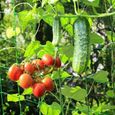 2pcs Filet de treillis en nylon de jardin Support de plante pour jardin fruits légumes plantes grimpantes (3,6 x 1,8 m)-1