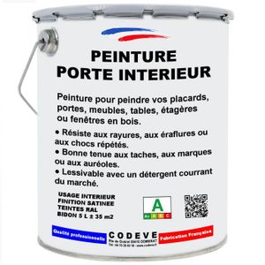 PEINTURE - VERNIS Peinture Porte Interieur - Pot 5 L   - Codeve Bois - 9010 - Blanc pur