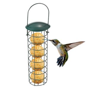 Eggersmann Boules De Graisse Oiseaux 100pcs - 9kg Sans Filet | Nourriture Oiseaux Sauvages Toute L'Année