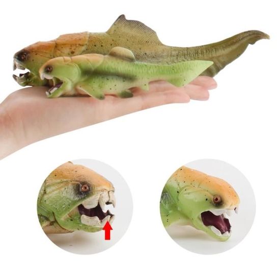 Lot De 12 Figurines Poissons Tropiques Cobee - Jouets Éducatifs Pour Aquarium Ou Baignoire - Enfants