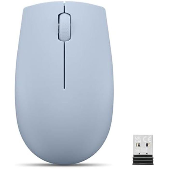 Lenovo 300 Souris compacte sans Fil Bleu givré