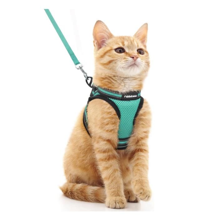 Comparer les prix de Rabbitgoo Harnais Chat Harnais pour chaton/petit chien Harnais Respirant et Bande Réfléchissante réglables -Taille S -Vert