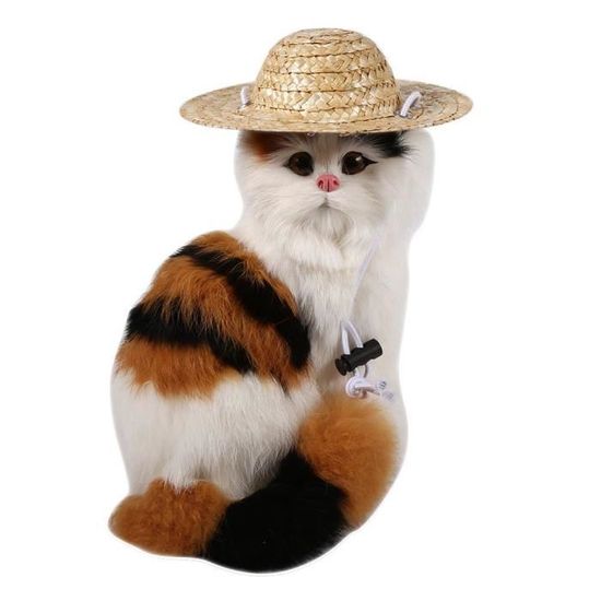 Chapeau De Paille Tisse Main Pour Petit Chien Chat Stop Achat Vente Casquette Snood Chapeau De Paille Tisse Mai Cdiscount Chapeau De Paille Tisse Main Pour Petit Chien Chat Stop Achat Vente Casquette Snood Chapeau De Paille Tisse Mai Cdiscount