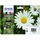 Epson multipack