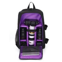Sacs à dos Photo SLR Bag Vidéo Camera Étanche Petit Compact Camera Backpack Multifonctionnel - Violet