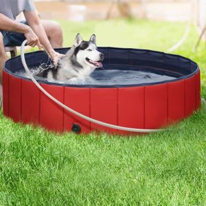 Piscine Pour Chien Achat Vente Piscine Pour Chien Pas Cher