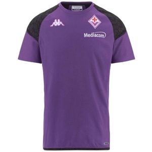 MAILLOT DE FOOTBALL - T-SHIRT DE FOOTBALL - POLO DE FOOTBALL T-shirt Fiorentina 2023/24 - violet indigo/grey graphite - XL