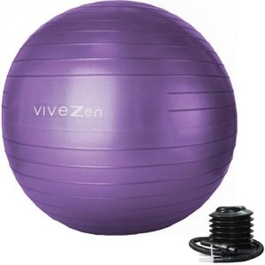BALLON SUISSE-GYM BALL Ballon de yoga, fitness, gymnastique - Vivezen - Diamètre 75 cm - Violet