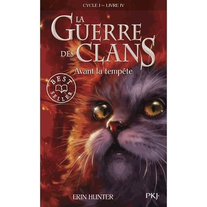 La Guerre Des Clans Cycle 5 Tome 4 Résumé