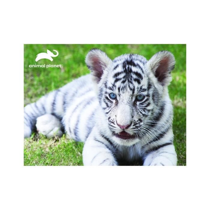 Puzzle Animal Planet White Tiger 63 pièces