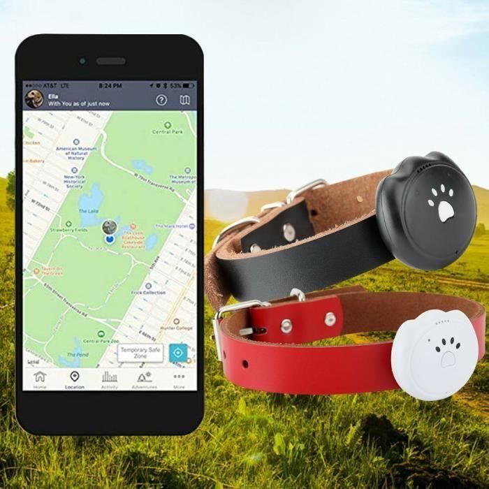 Letouch Mini GPS Traqueur WIFI Chien Collier -Étanche Localisateur - Temps Réél Suivi-Pistage D’animale(Blanc)