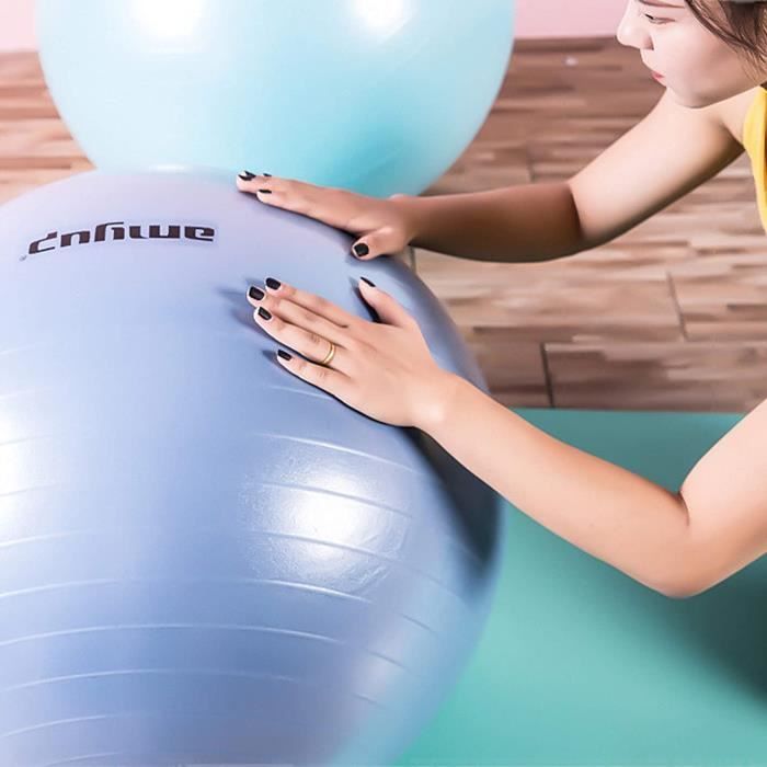 SWISS BALL G Ballon dexercice Pilates Ball Dynamic Ball Yoga Ball Gym Ball Fitness Ball 65Cm 75 Cm Therapy Ball Incluant Pump An262