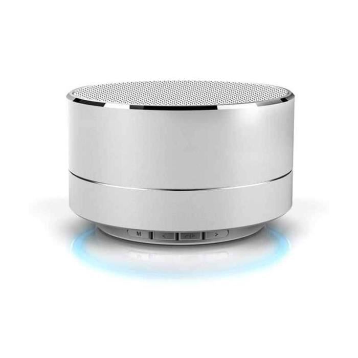 Reekin Marlin Haut-parleur Bluetooth avec kit main-libre (Silver)