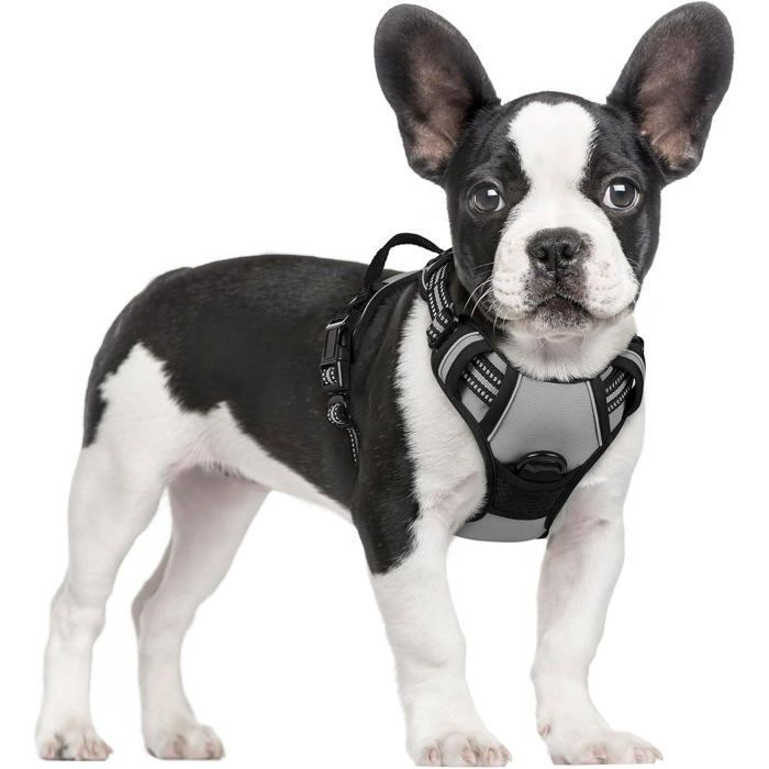 Meilleurs prix pour Harnais Chien Anti Traction Gris XS Harnais Chien avec Poignée Facile à Mettre Gilet Réglable Réfléchissant pour Petit Chien