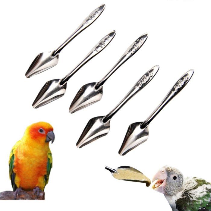 Lot de 5 cuillères de nourrissage pour oiseaux acier inoxydable 12 cm alimentation précise perroquets et poussins