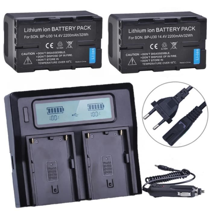 Caricabatterie KeepPower L1 Per Batterie Agli Ioni Di Litio &ndash; Nuovo