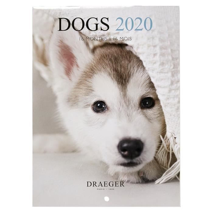 Petit calendrier mural 14x18cm Chiens 2020 - Achat / Vente calendrier