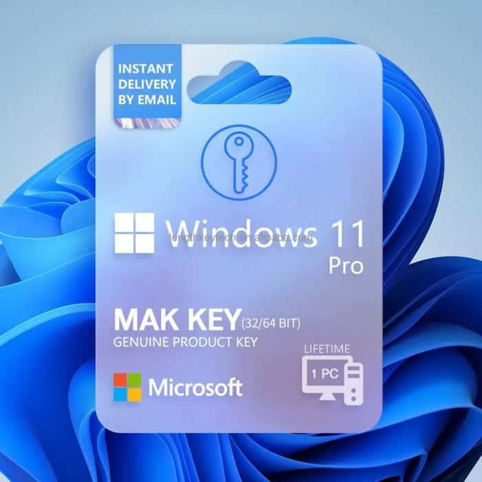 Windows 11 Pro Professional – 1 PC – détail – Version  téléchargeable -Windows 11 Pro 32/64 bit Clé dactivation Originale