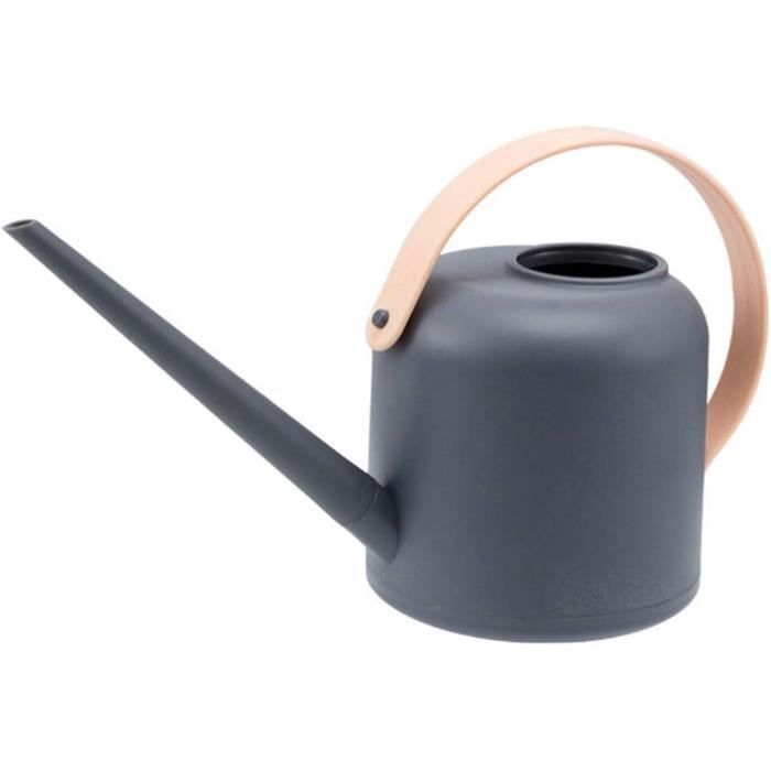 Arrosoir Pour Plantes D'intérieur Avec Bec Long, Arrosoir D'intérieur