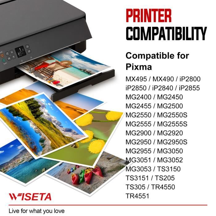 545 546 2 Cartouches d'Encre Compatibles avec CANON PG-545 CL-546 pour  Imprimante PIXMA - Cdiscount Informatique