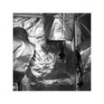 Blackbox Silver - Chambre de Culture - BBS - 40x40x140cm-2
