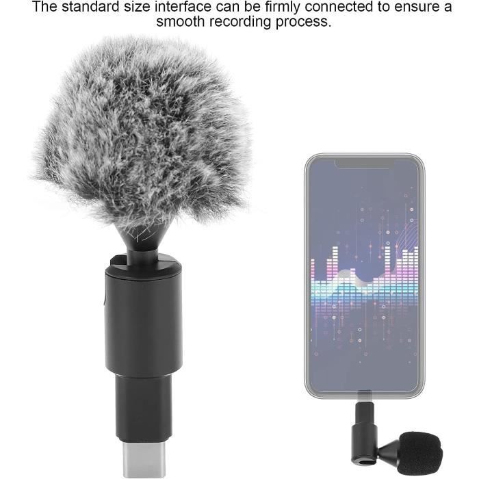 Mini Microphone, Interface De Type C Plug And Play, Micro Directionnel ...