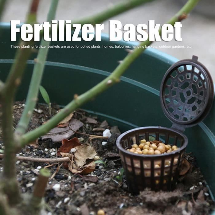 Plantes en pot : engrais et fertilisation naturelle
