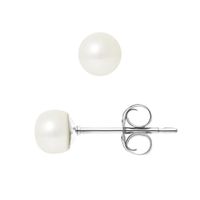 PERLINEA - Clous d'Oreilles - Véritables Perles de Culture d'Eau Douce Boutons 5-6 mm Blanc Naturel - Bijoux Femme