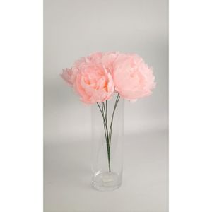 Bouquet De 6 Pivoines Rose Pâle 5 Pièces Achat Vente