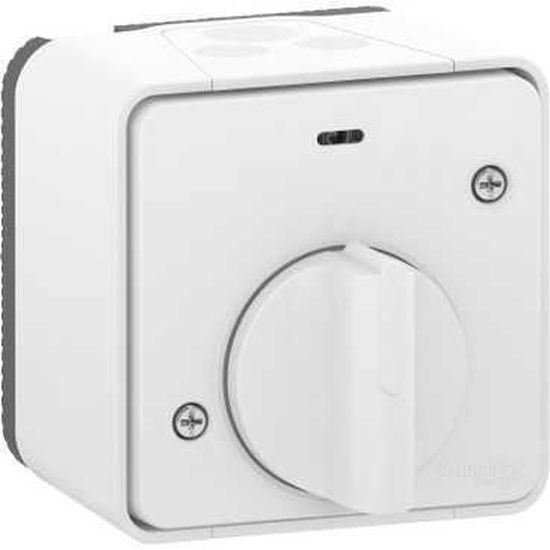 Schneider Mur39067 Interrupteur Temporise Mureva Styl Saillie