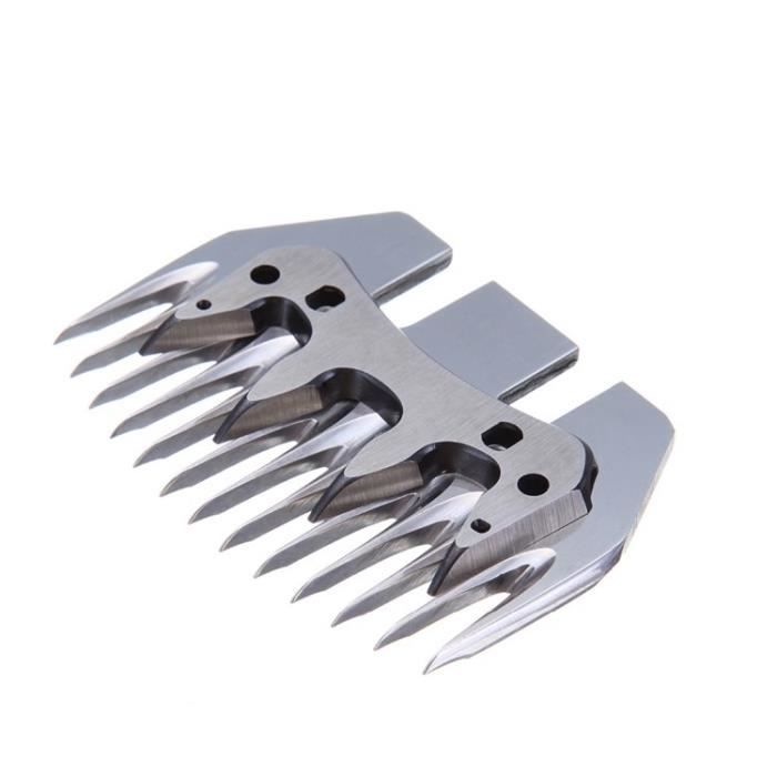 Peigne et Lame Pour Tondeuse pour Moutons