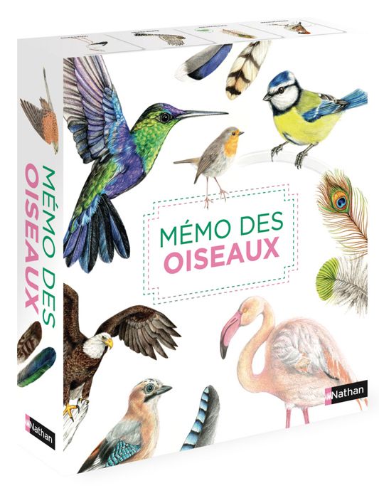 Mémo des oiseaux - Un jeu de memory pour apprendre en s'amusant en famille - Dès 4 ans