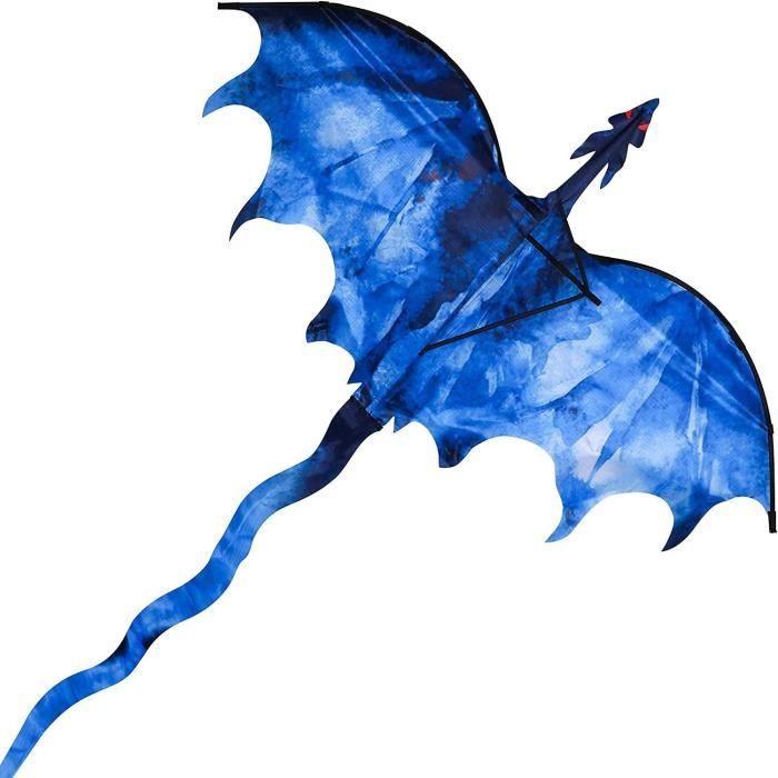 Cerfs-volants pour adultes faciles à voler, grand cerf-volant triangle arc -en-ciel, cerf-volant avec de longues queues dans les activités de divertissement au parc, (taille Cerfs-volants pour adultes faciles à voler, grand cerf-volant triangle arc -en-ciel, cerf-volant avec de longues queues dans les activités de divertissement au parc, (taille