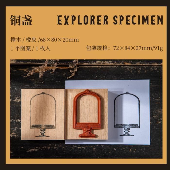 Sacchetti Porta Scarpe Da Viaggio - 10 Pezzi Impermeabili, Con Finestra Trasparente, Multiple Misure - Foto 4