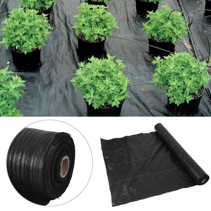 2mx50m Bache Anti Mauvaises Herbes Tissu Couvre Sol 2mx50m Achat